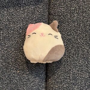 Squishmallows Flipmallows Cat and Corgi